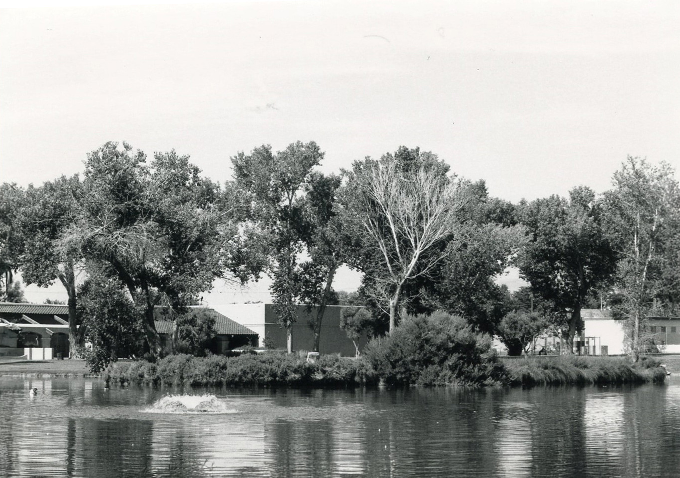 Nevada State Museum Las Vegas